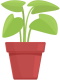 Plantes